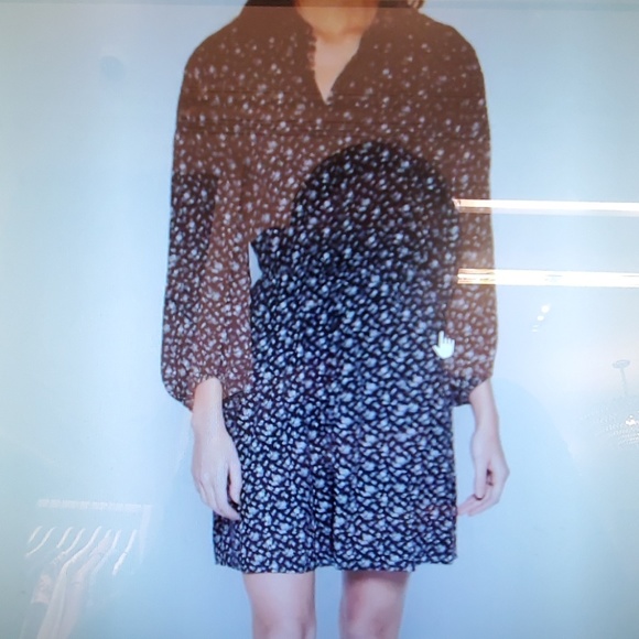 Joie Dress - Picture 3 of 4